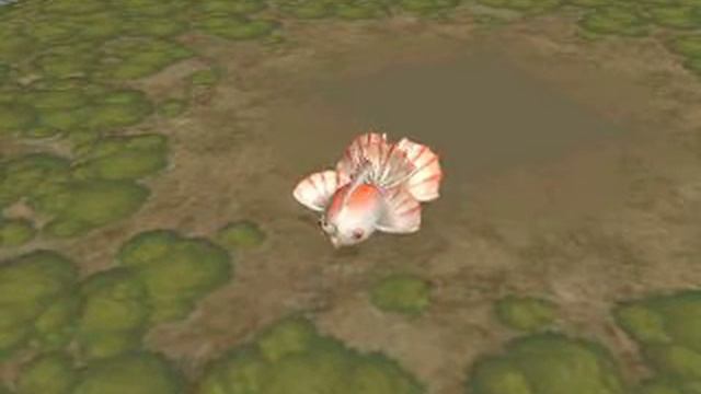 SPORE - GOLDEEN смотреть онлайн