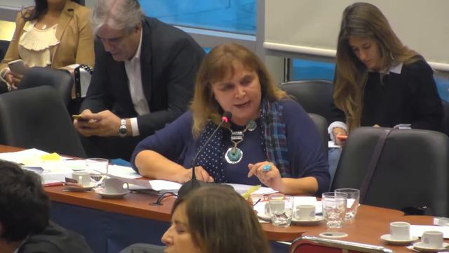 Dip Araceli Ferreyra en la comisión de Presupuesto y Hacienda смотреть онлайн