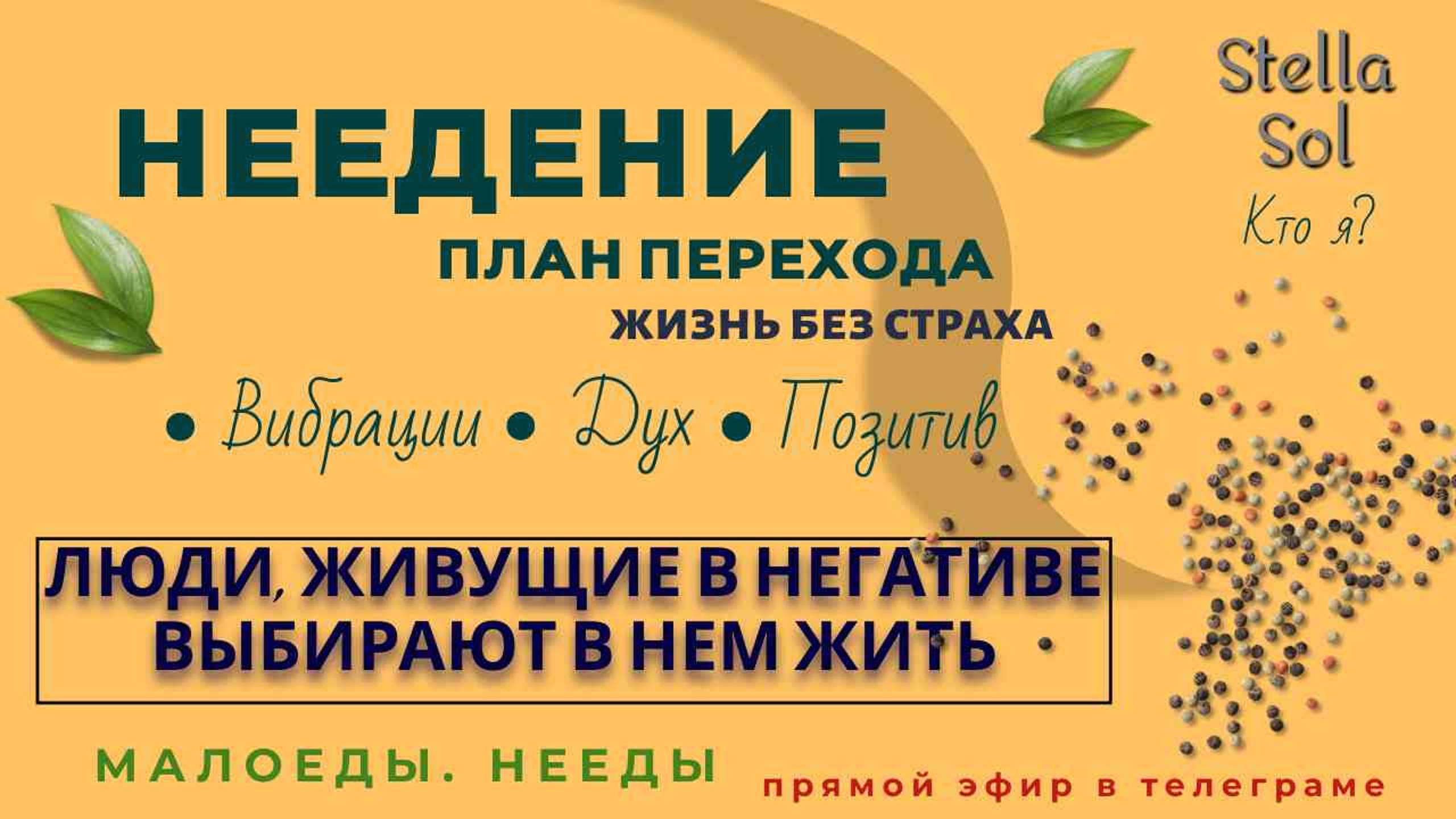 Неедение | Ответы На Вопросы [достойный эфир] #высокиевибрации #неедение #ясновидение #установки смотреть онлайн