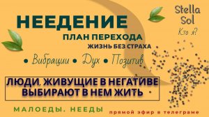Неедение | Ответы На Вопросы [достойный эфир] #высокиевибрации #неедение #ясновидение #установки