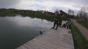 Отдых и рыбалка на Рыбных прудах в Ропше.mp4