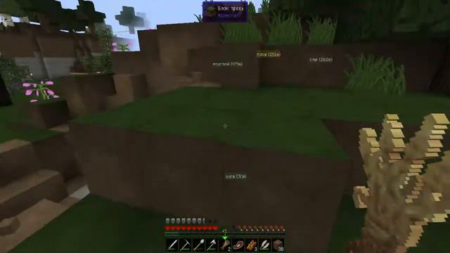 Minecraft Выживание с модами часть 31 Кошки смотреть онлайн
