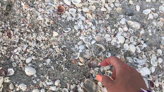 Captiva Shelling - Virtual Shelling - Will We Be Rained Out? смотреть онлайн