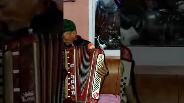 Juan y los reyes ; tema resistiré tocada con acordeón ,8 de abril de 2020 смотреть онлайн