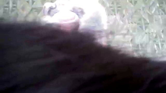 Новости с Джоном Кэтствилом смотреть онлайн