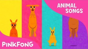 Looby Loo Kangaroo | Kangaroo | Animal Songs | Pinkfong Songs for Children