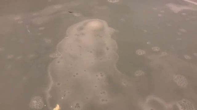 Elk River Soap Company Flower Power Mini Bath Bomb смотреть онлайн