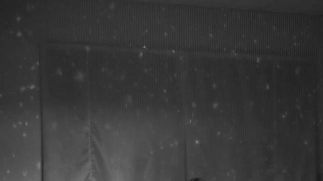 Mēnesgaismas naktsputni - Kraukļu dziesmiņa смотреть онлайн