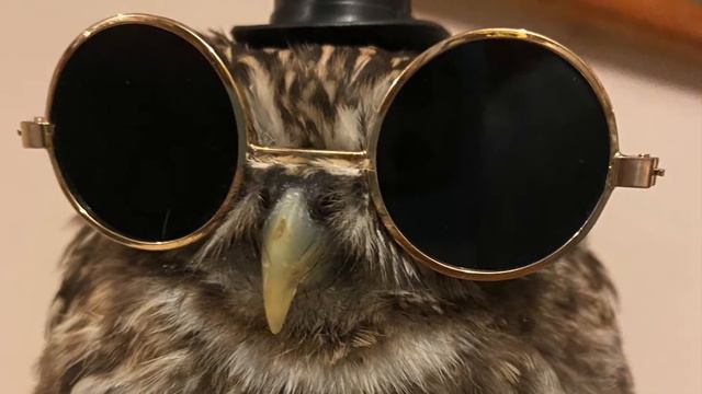 Gilbert’s on YouTube! смотреть онлайн