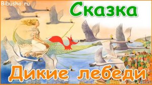 Дикие лебеди - Г. Х. Андерсен - Аудио-сказка | Внеклассное чтение 1 класс