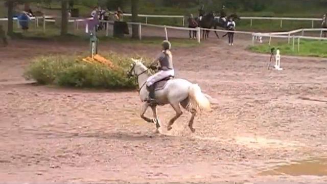 Kenmare Lass MsvA Gamleby 29/8 смотреть онлайн