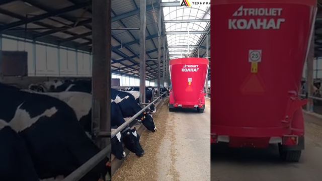 Демо_ТРИОЛИЕТ_КОЛНАГ смотреть онлайн