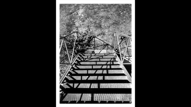 Ellsworth Kelly on Abstraction смотреть онлайн