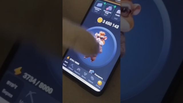 Ну что, натапали хомяка?🐹😃 смотреть онлайн