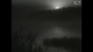 Сын полка (1946)