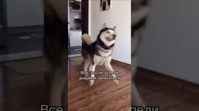 Кто записывается заранее - тот поступает мудро! #afromari #афроплетение #афрокосы #косы #афрорезинки смотреть онлайн