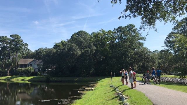 Gator toy prank at Hilton head island смотреть онлайн