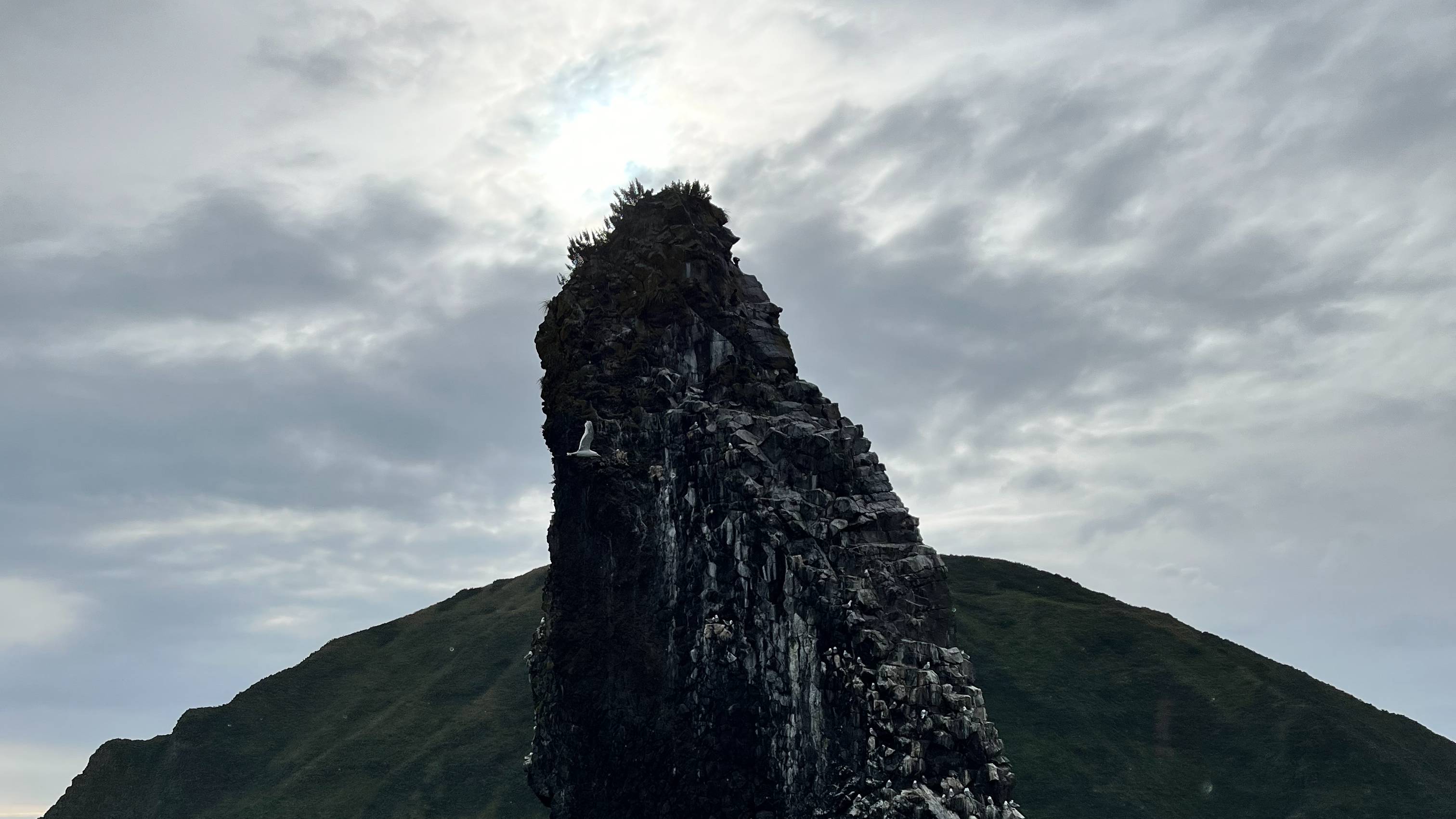 Мамкин Выживальщик на Камчатке смотреть онлайн