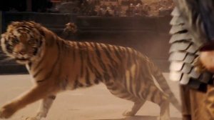 Гладиатор | Максимус против Тигра из Галлии