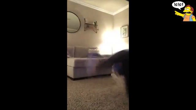 СМЕШНЫЕ ВИДЕО 2018 ОКТЯБРЬ Смешная подборка лучших приколов 2018 # 3 смотреть онлайн