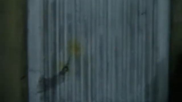 The House (Bartas, 1997) смотреть онлайн