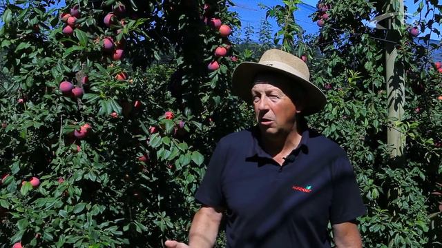 DIRETO DO CAMPO (DDC) - ILSA Brasil - Boreli - Ameixa смотреть онлайн