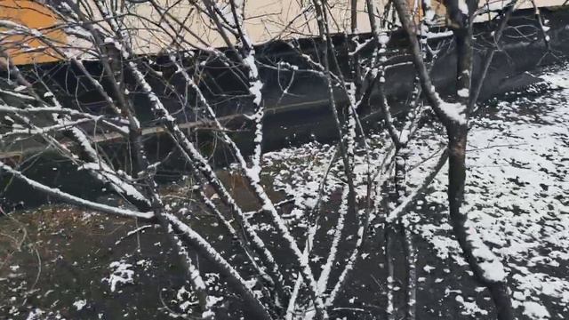 VID 20230327 105919 Зима 1913 (В. Ходасевич)...Павел Васильев Лахтинский смотреть онлайн