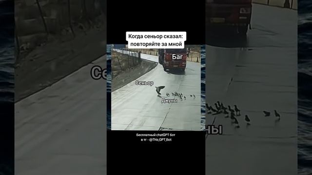 жалко их( смотреть онлайн