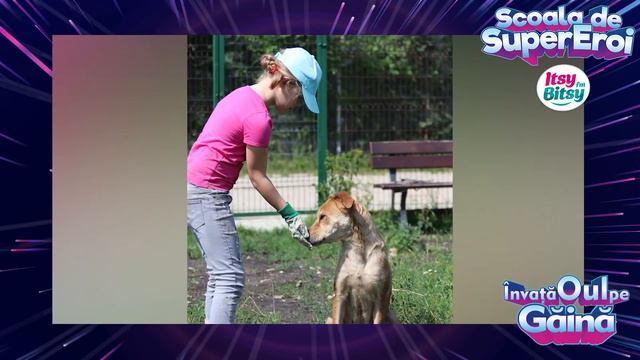 Scoala de SuperEroi Itsy Bitsy - Invata Oul pe Gaina | Mara Dobre, SupererOU смотреть онлайн