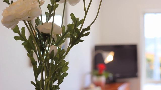 208 Lake Terrace, Hilltop, Taupo, Waikato смотреть онлайн