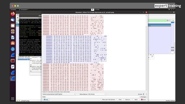 25. Solution for Lab 11 смотреть онлайн
