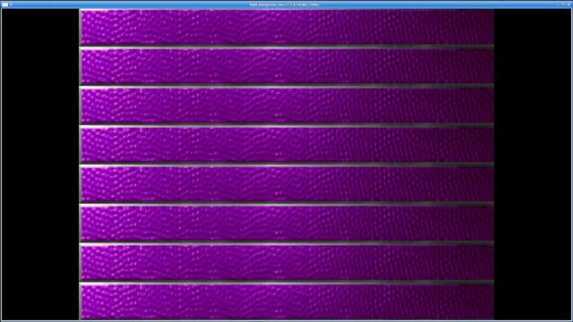 MAME 231 - New working clones смотреть онлайн