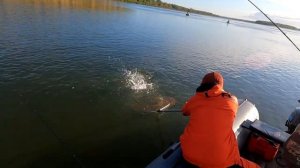 Трофейная щука осенью. Рыбалка2024