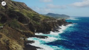 Alan Walker, Dua Lipa, Coldplay, Martin Garrix & Kygo, The Chainsmokers