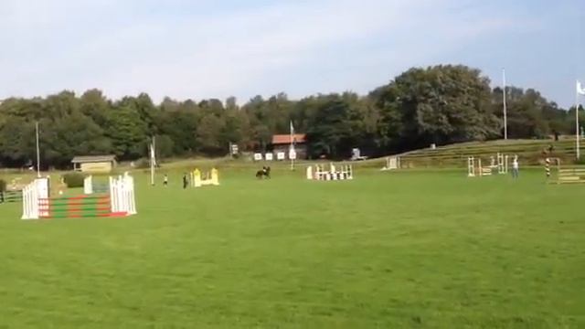 19aug ryttarstadion 95cm. Klara Levenstam wendy hulegård смотреть онлайн