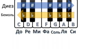 Музликбез для вокалиста.  Ноты