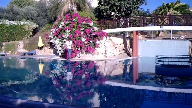Кипр  Лимассол отель Арсиное. Cyprus Limassol Hotel Arsinoe.