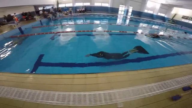 MAX ZAPPETTINI - 175 M APNEA DINAMICA CON MONOPINNA смотреть онлайн
