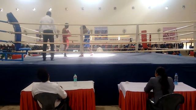 BOXING KNOCKOUT смотреть онлайн