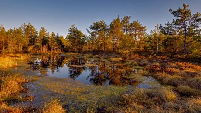 Адрес - Русь исп. А. Днепров смотреть онлайн