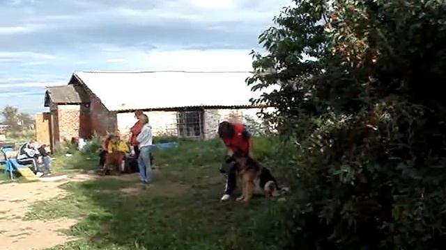 MOV05846 смотреть онлайн