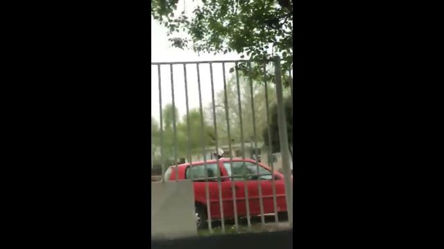 Bucatarese Marin Preda смотреть онлайн