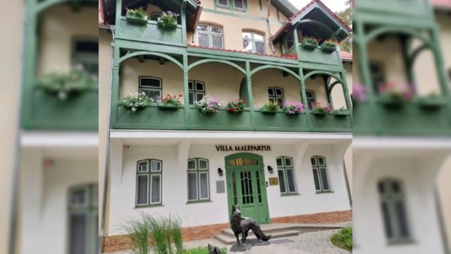 Немецкие домики Светлогорска 9/09/2024 смотреть онлайн