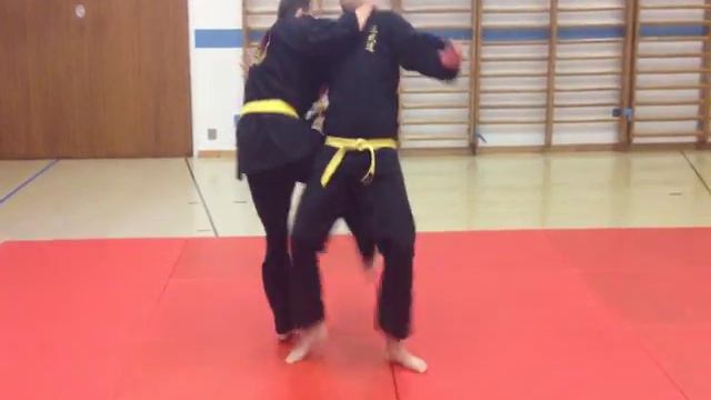 Sanbudo Orange belt examination of Martin & Louis смотреть онлайн