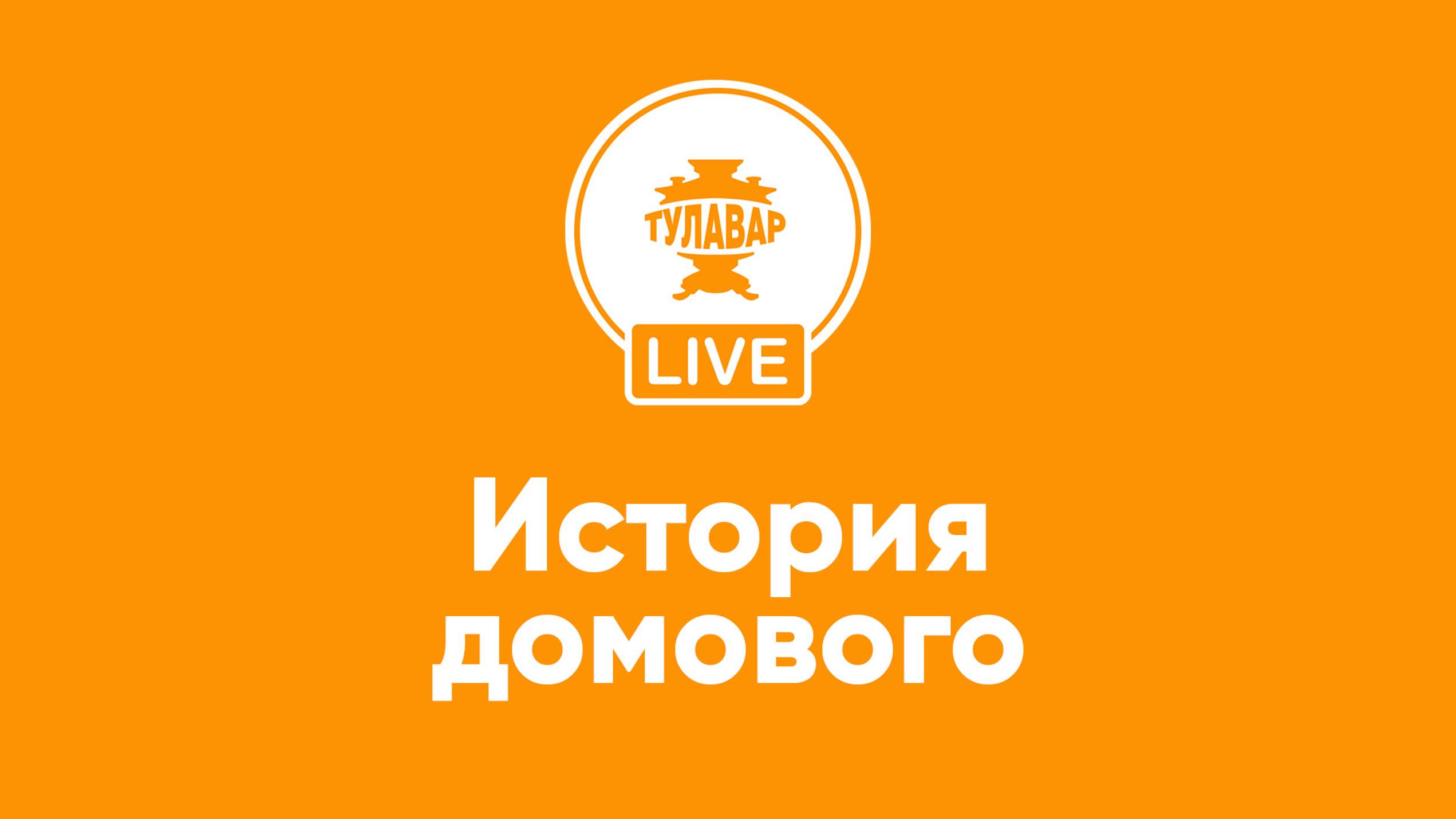 Прямой эфир Тулавар: История домового смотреть онлайн