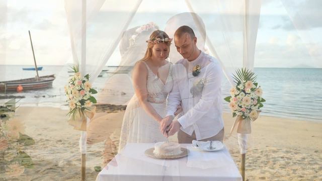 Nikola & David Wedding смотреть онлайн