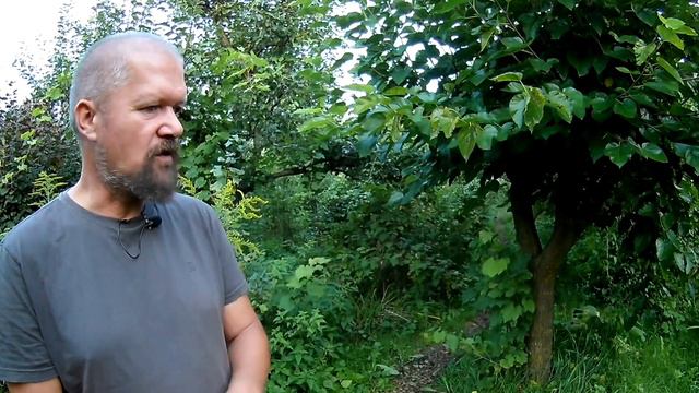 Permakultur ist machbar / Teil 1 bei Bernhard Gruber und seinem 30 Jahre alten Waldgarten смотреть онлайн