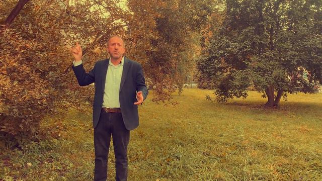 Петербургский трамвай. Видеоэссе смотреть онлайн