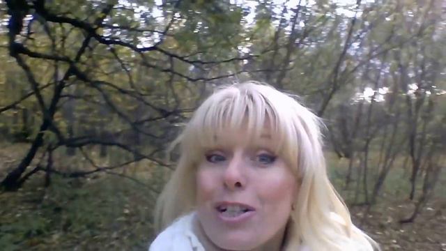 Светлана Артюхова. Осенняя встреча. смотреть онлайн