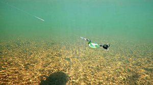 Зависание TUKA Kite : Chubby на течении